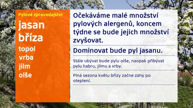 Pylové zpravodajství