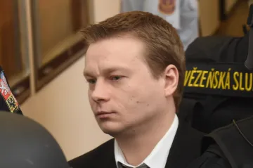 Trest za brutální ubití pošťačky ve Skřípově - 17 let za mřížemi