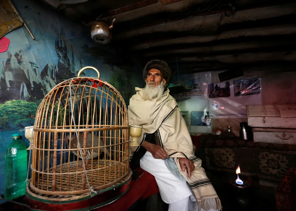 Mohammad Jan vedle klece s bojovnou koroptví v ochodě s ptáky v ulicích Kábulu. V Afghánistánu jsou mužové schopni vsadit na zápasy psů, kohoutů i koroptví i několik tisíc dolarů.
