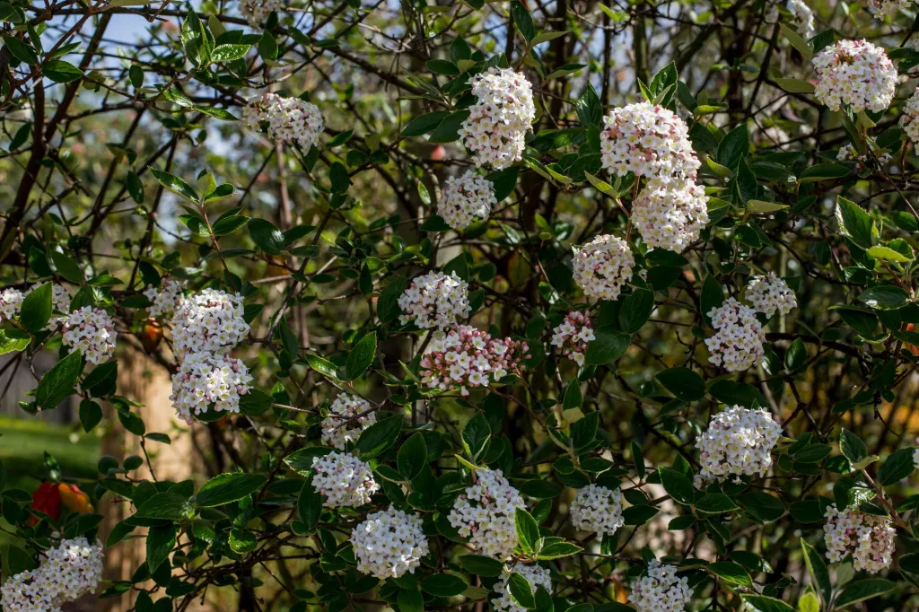 Během nouzového stavu nebylo přerušeno ani budování nového vodovodu. Projekt má umožnit zavlažování přímo z Vltavy