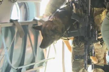 Elitní česká vojenská jednotka cvičila slaňování z vrtulníku i se psem