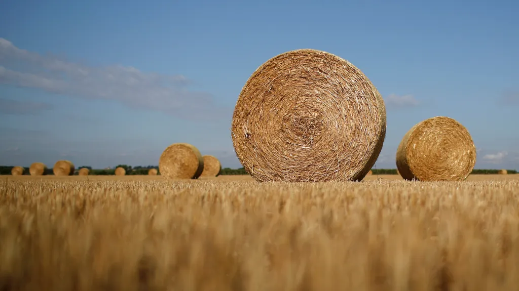 Ilustrační snímek