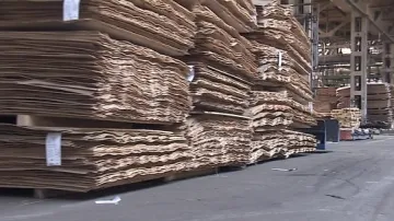 Firmu zlikvidovala levná konkurence z Číny a Brazílie