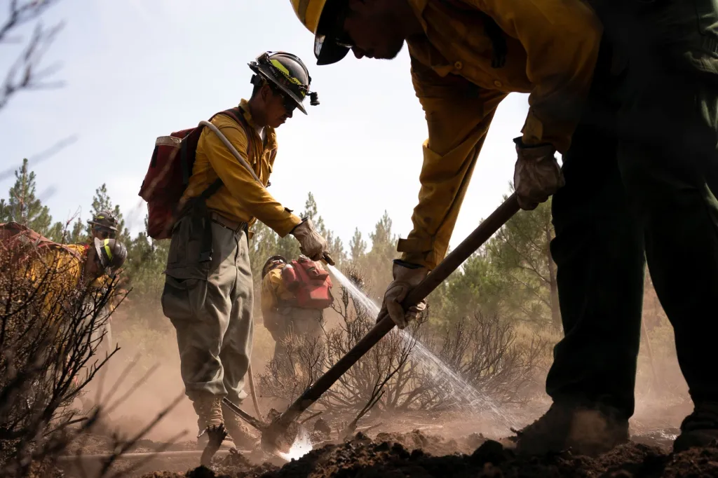 Požáry v hornatých oblastech státu Oregon mají přímý dopad na smogovou situaci ve velkých městech Spojených států amerických