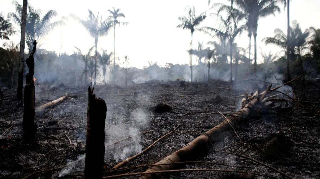 Požáry zuřící v amazonském deštném pralese letos dosáhly rekordního počtu. Brazilské středisko pro vesmírný výzkum INPE prozatím zaznamenalo víc než 70 tisíc požárů