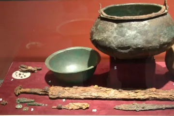 Zbavit se cetek? To bylo nemožné už pro lidi v době železné, ukazují archeologické nálezy