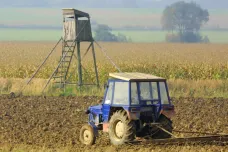 Zemědělci na Táborsku se bojí ztráty dotací za příliš kamenitou půdu