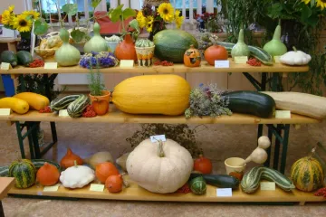 AVÍZO: Zahrádkářská výstava ve Vinoři