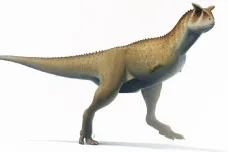 Bezruký dinosaurus nebyl bezbranný. Dokázal zabíjet i obří titanosaury