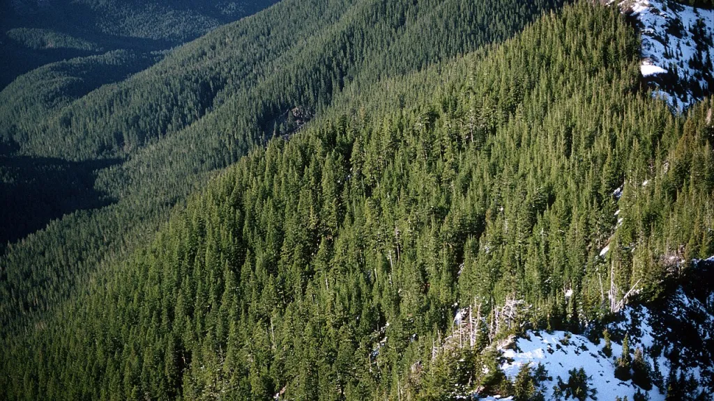 Americký národní les Mount Hood