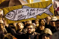 Do boje proti Salviniho populismu vytáhlo nové hnutí Sardinky. Protestovat chodí tisíce Italů