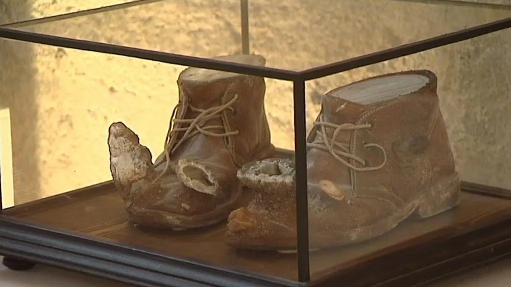 Fotografie z výstavy