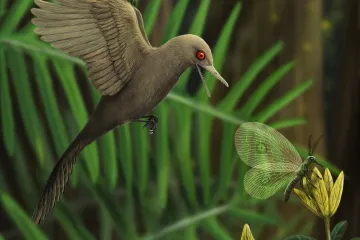 Vědci objevili vůbec nejmenšího dinosaura. Byl velký jako dnešní kolibřík