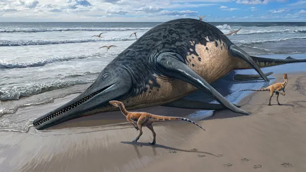 Jedenáctiletá školačka objevila zřejmě největšího ichtyosaura v dějinách, mohl mít až třicet metrů