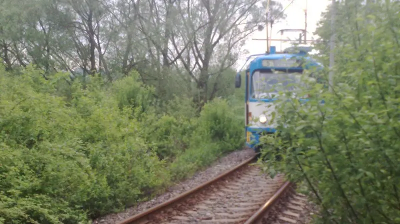 tramvaj na lince č. 5