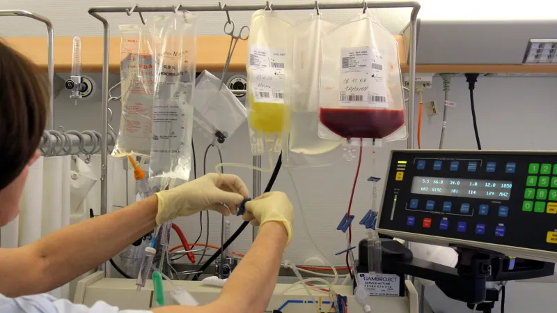 Sběr kmenových buněk