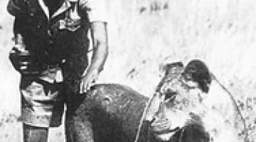 Příběh lvice Elsy