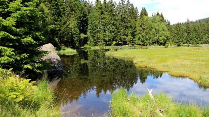 Kleiner Arbersee