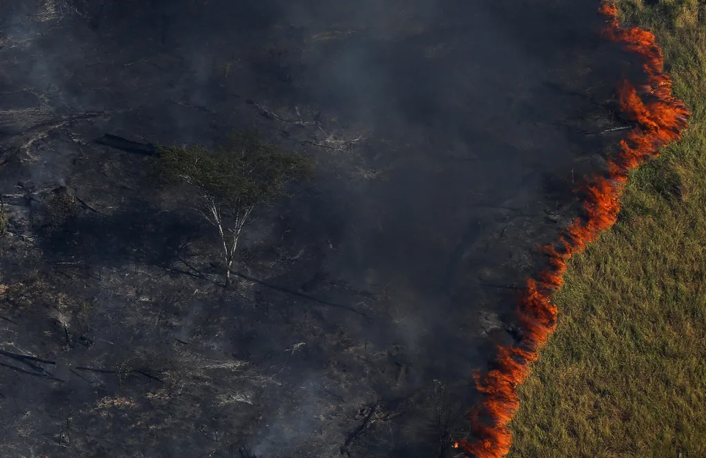 Hořící prales v Amazonii během „Operace Zelená vlna“, v níž zaměstnanci brazilského Institutu pro životní prostředí a obnovitelné zdroje (IBAMA) bojují s ilegálními těžaři kolem města Apui ve státě Amazonas.