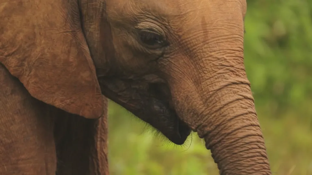 Ilustrační snímek