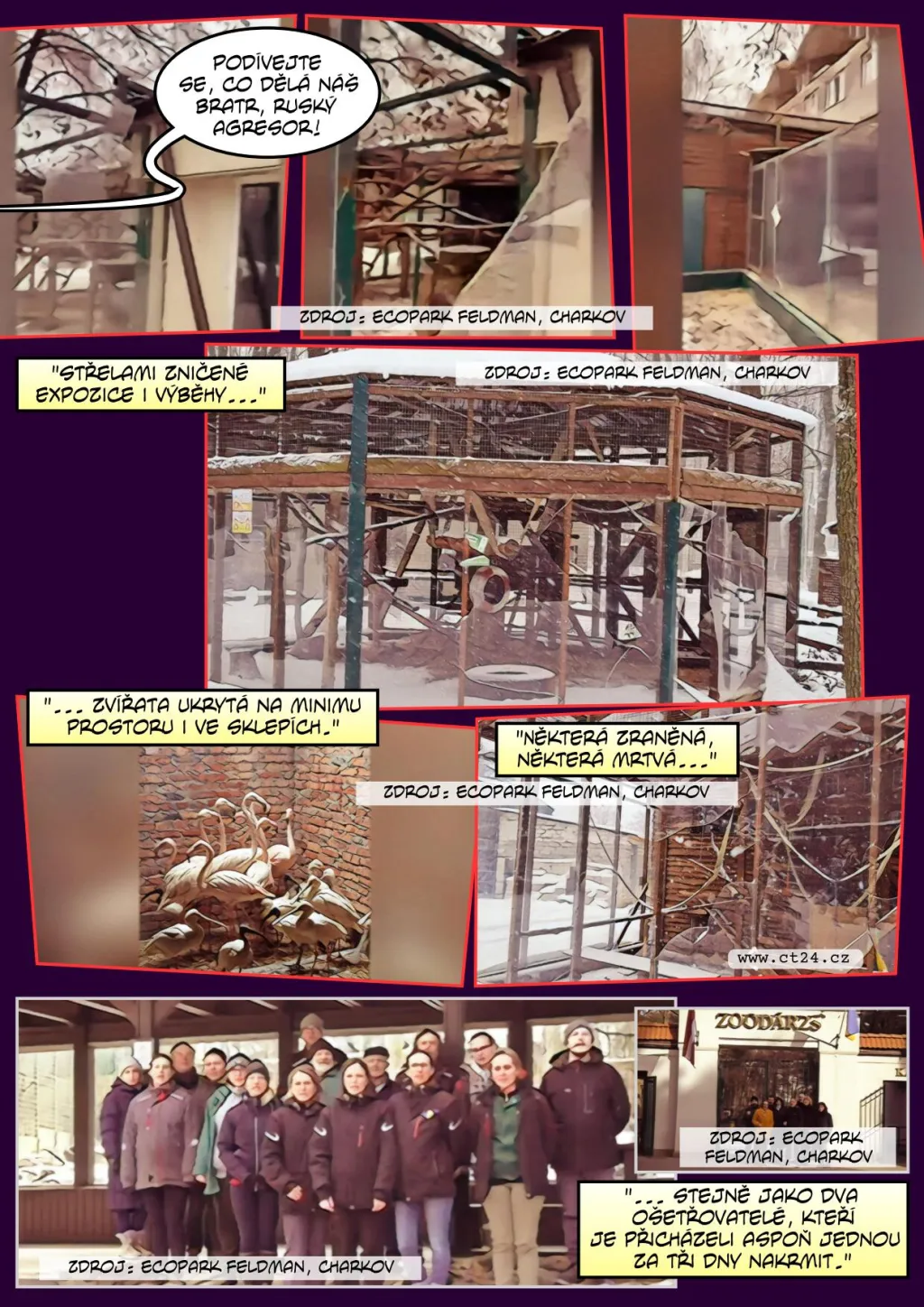 Pomoc zvířatům ve víru války