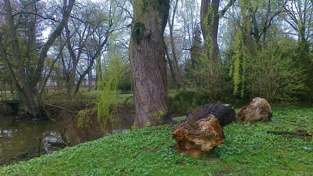 Zámecký park ve Veselí nad Moravou