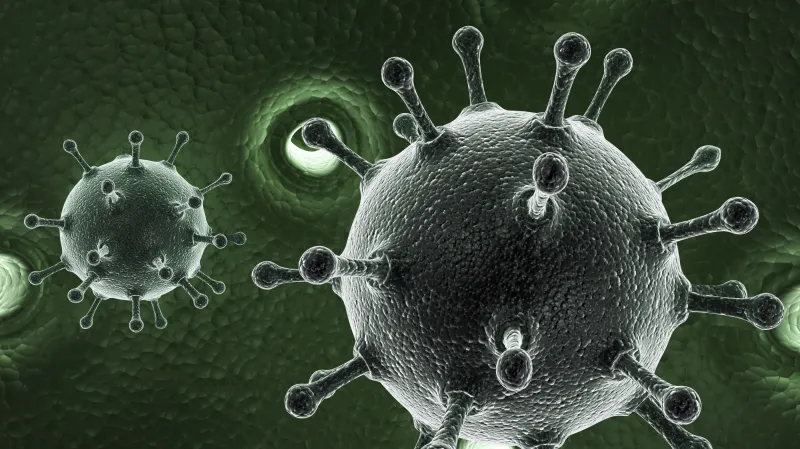 Model viru žloutenky