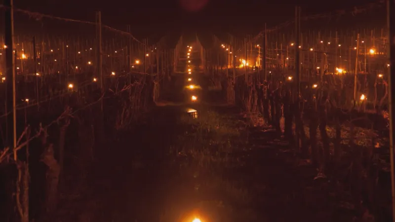 Parafínové svíce, pálení slámy a zamlžování