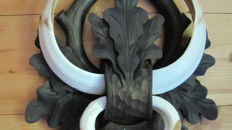 Trofejní páráky a klektáky z obory Sedlice