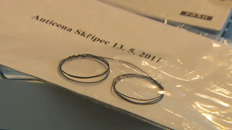 Anticenou Skřipec ocenila Obec překladatelů mimořádně špatný překlad do češtiny.