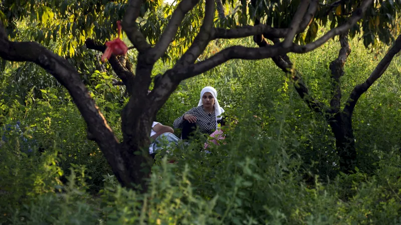 Uprchlíci na srbsko-maďarské hranici