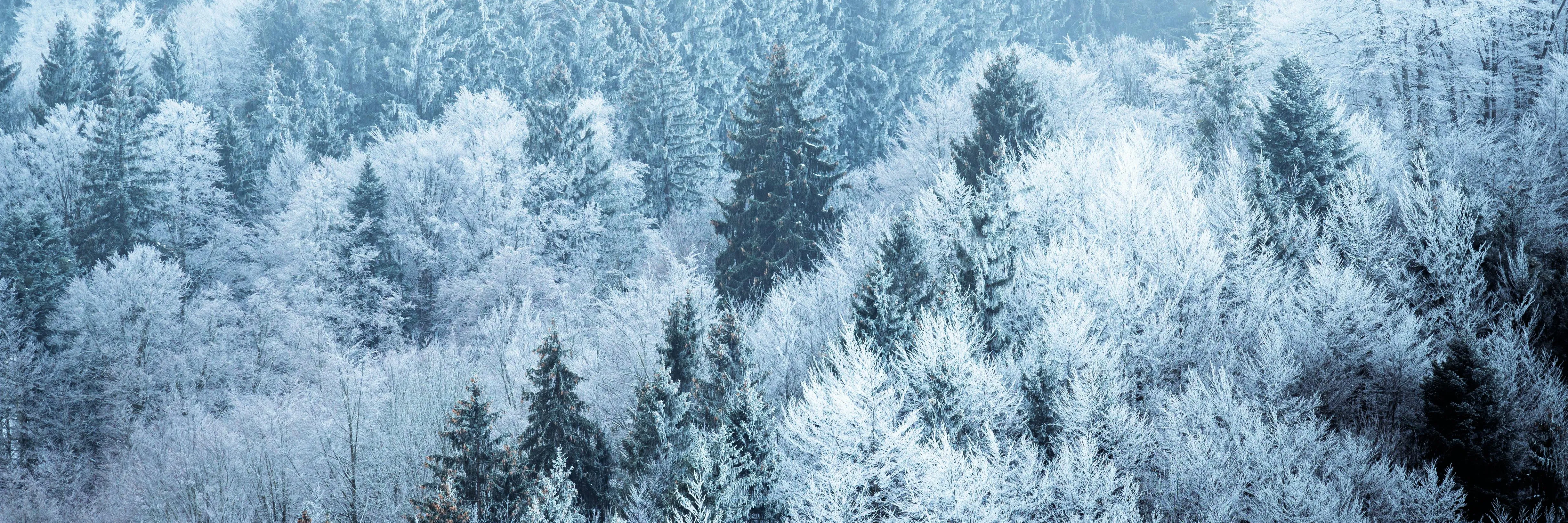 Výstraha ČHMÚ: Na Šumavě až dvacet centimetrů sněhu, silný vítr na východě Česka