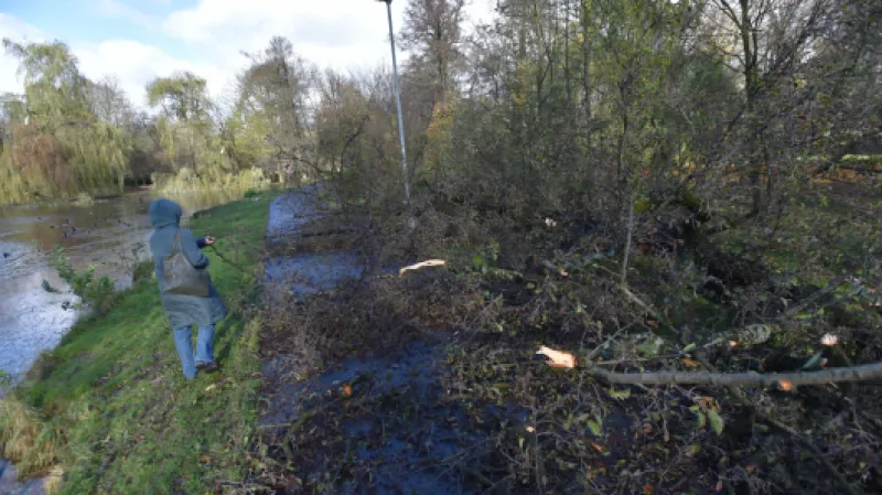 Popadané větve v parku v centru Sokolova,  Autor: Kubeš Slavomír,  Zdroj: ČTK