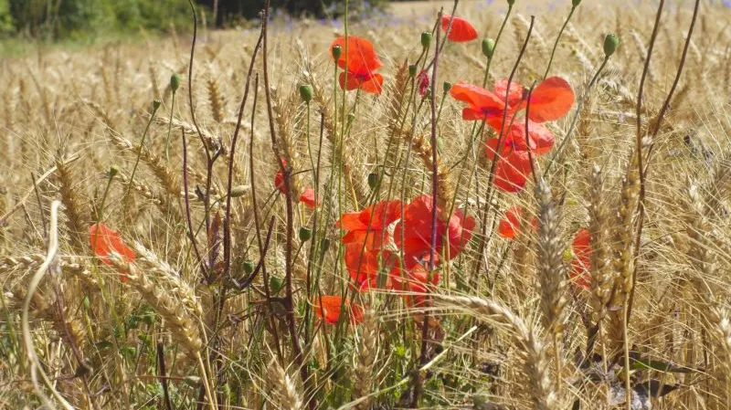 Fotografie Markéty Othové