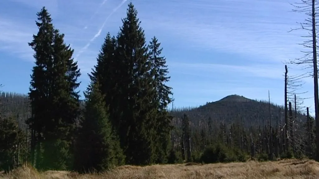 Šumava