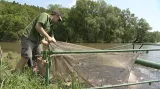 Rybáři při odlovu cejnů z Brněnské přehrady