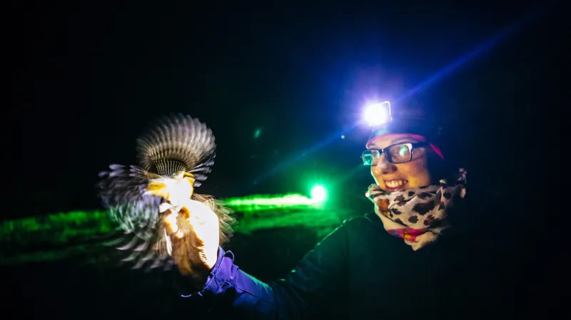 Vítěz Czech Press Photo 2019 v kategorii „Člověk a životní prostředí“. Petr Topič za soubor fotografií „Ptačí hlídka“. Na Červenohorském sedle už desátým rokem probíhá odchyt a kroužkování ptáků. Ornitologovéza tu dobu okroužkovali více než sto tisíc ptáků. Projekt může mimo jiné říct, jak se environmentální změny podepisují na ptačí populaci.