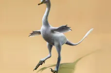 Vědci našli pravěkého tvora, něco mezi kachnou a velociraptorem
