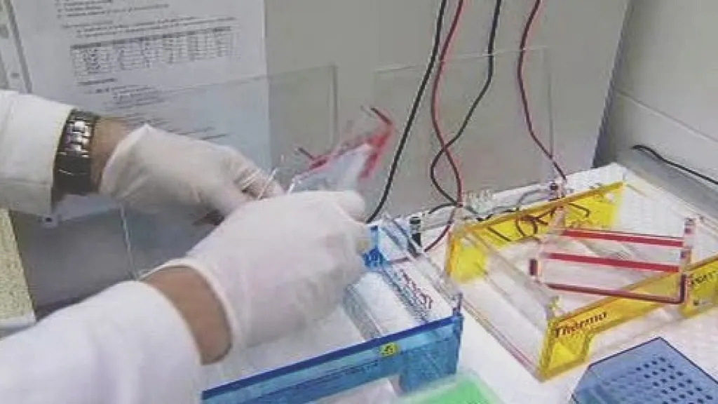 Laboratoř