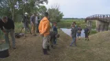 Jeseteři se vrací do moravských řek