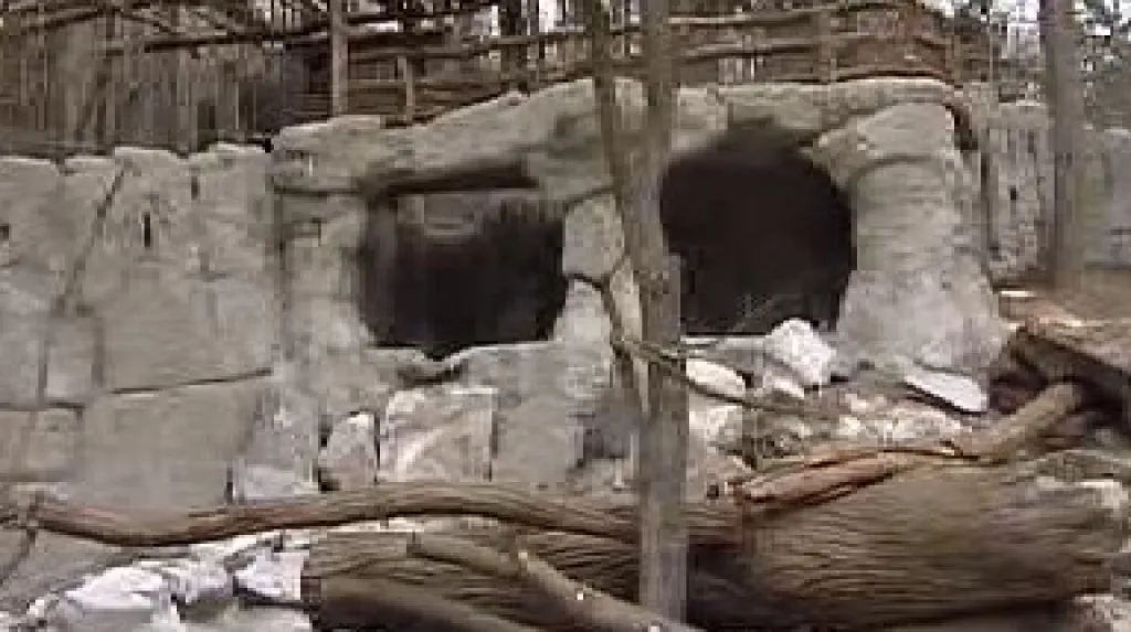 Nový medvědinec jihlavské zoo