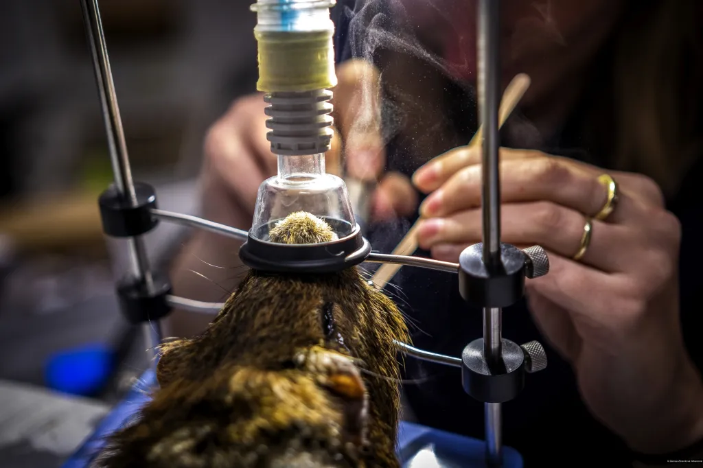 2. místo v kategorii Člověk a životní prostředí (Denisa Zbranková Albaniová / V detailu)