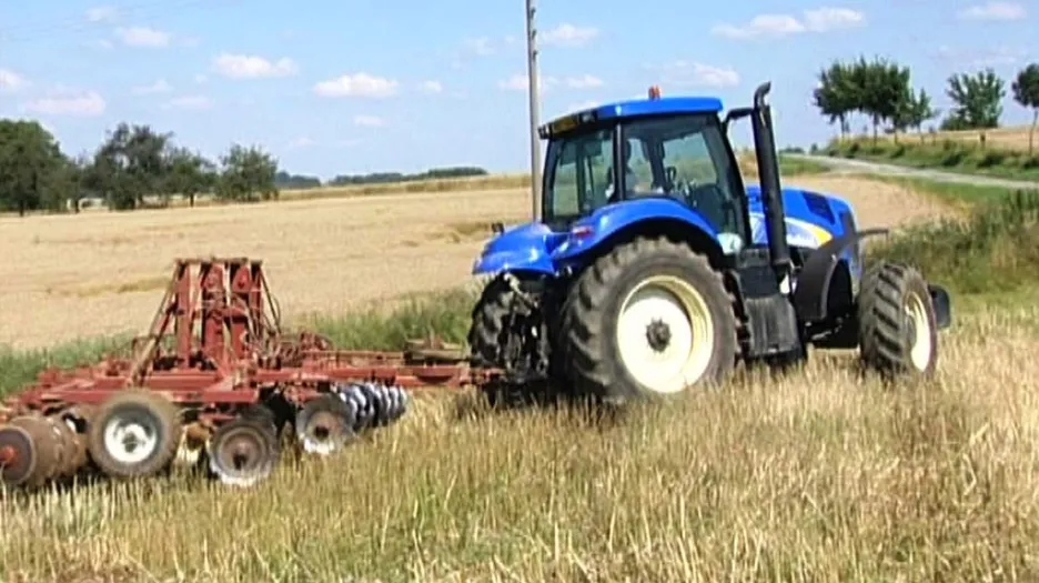 Zemědělství