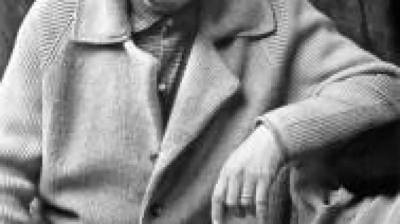 Český divadelní a filmový režisér