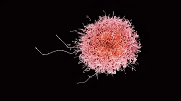 Imunitní buňka, ilustrační foto