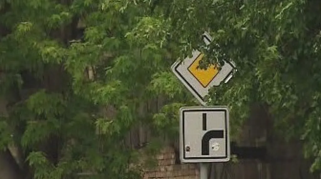 Zarostlá dopravní značka