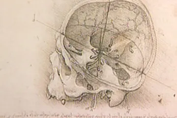 Cesta mezi obrazy lidské mysli je zážitkem