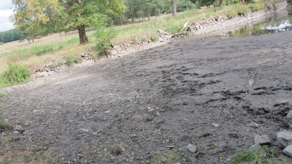 Vypuštěný rybník v Kublově