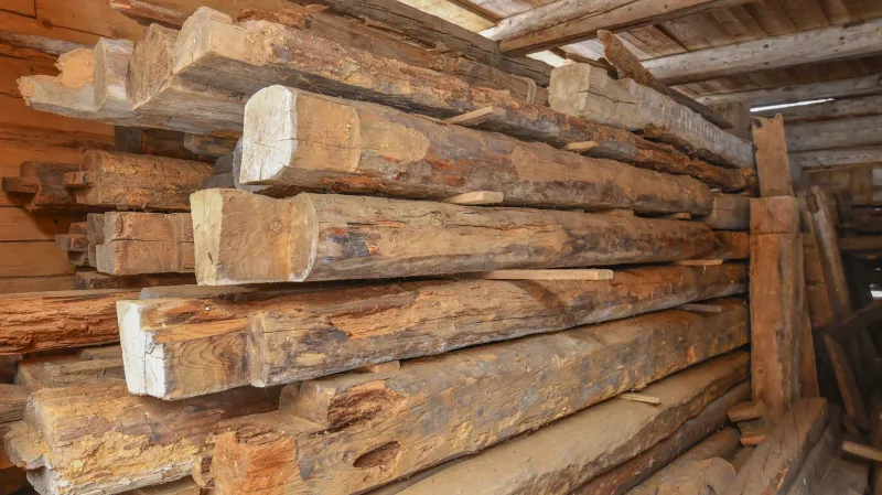 Trámy rozložené chalupy v depozitáři chanovického skanzenu