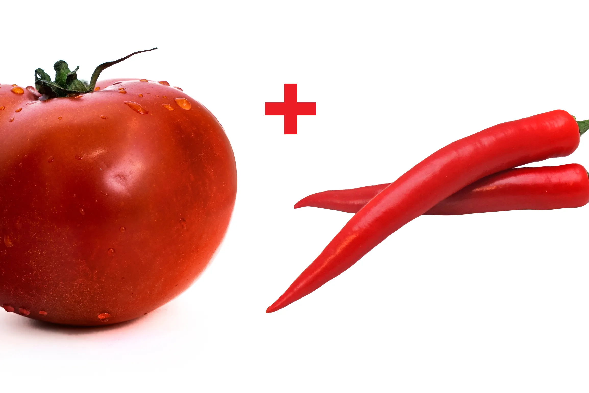 Rajce.idnes.cz oblibena-alba5 - pubex.pro.